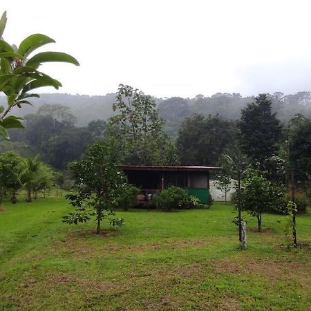 Eya Ecolodge San Isidro De El General エクステリア 写真