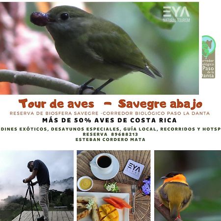 Eya Ecolodge San Isidro De El General エクステリア 写真