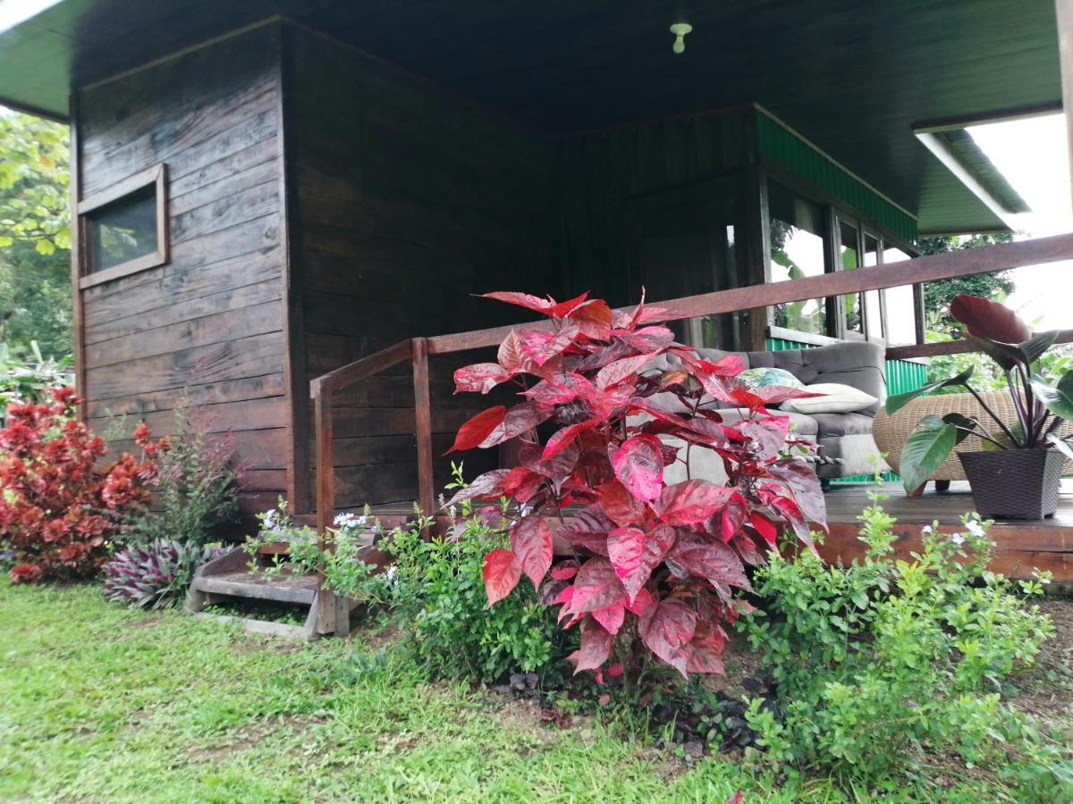 Eya Ecolodge San Isidro De El General エクステリア 写真