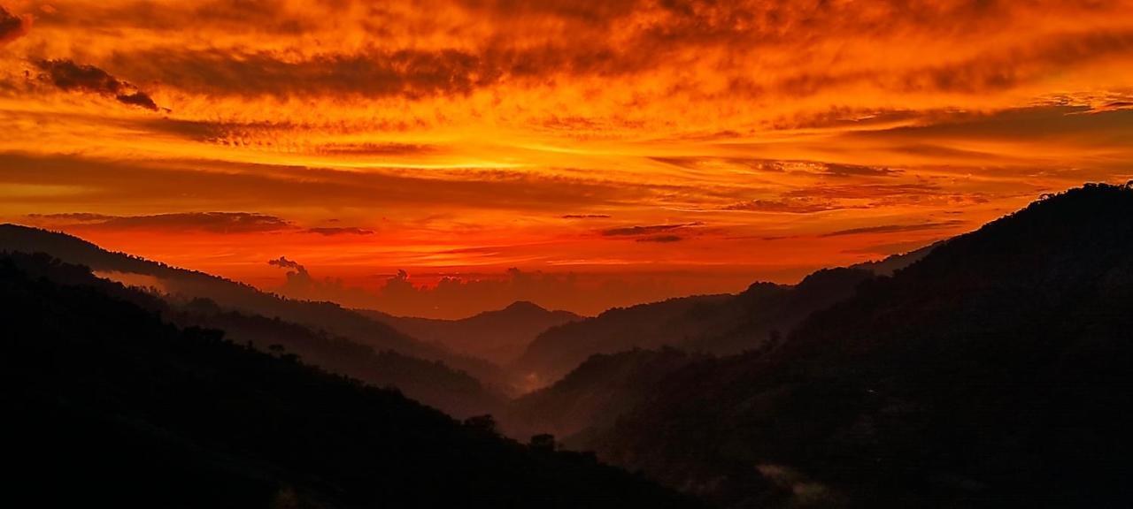 Eya Ecolodge San Isidro De El General エクステリア 写真