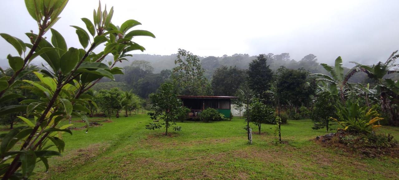 Eya Ecolodge San Isidro De El General エクステリア 写真