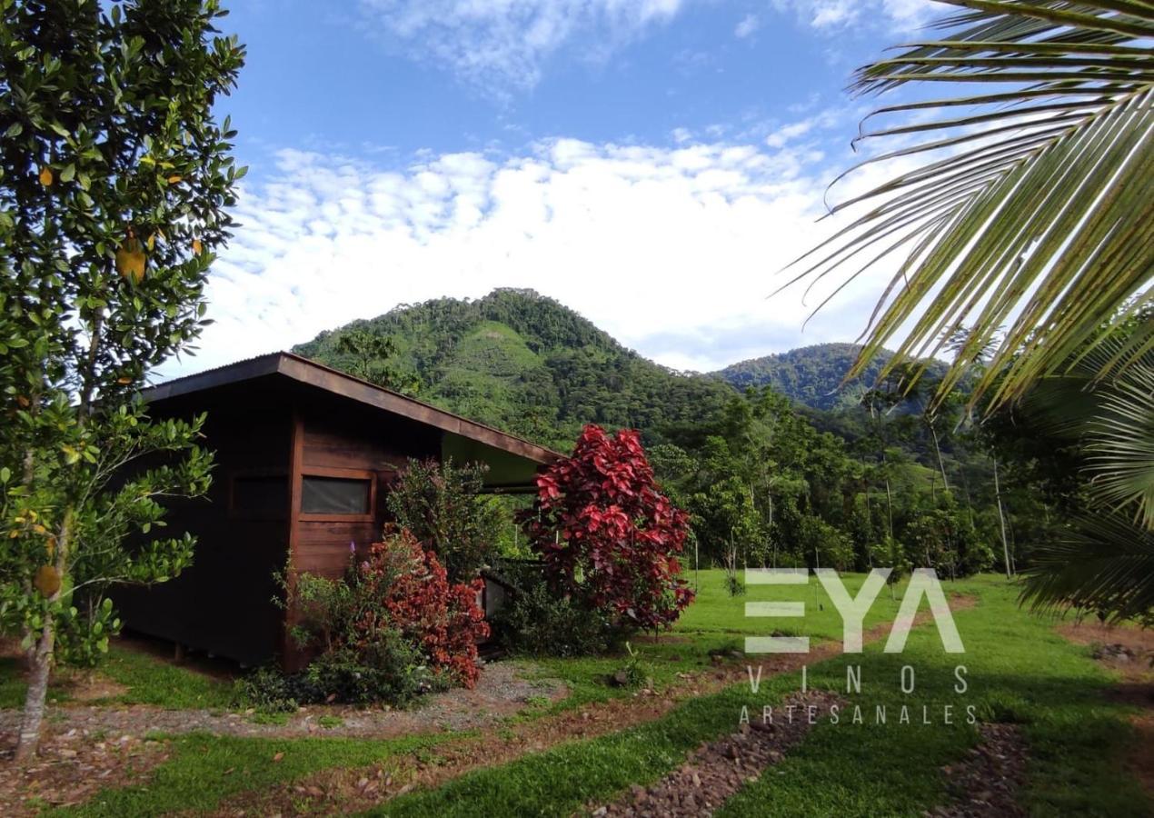 Eya Ecolodge San Isidro De El General エクステリア 写真