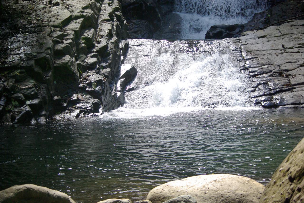 Eya Ecolodge San Isidro De El General エクステリア 写真