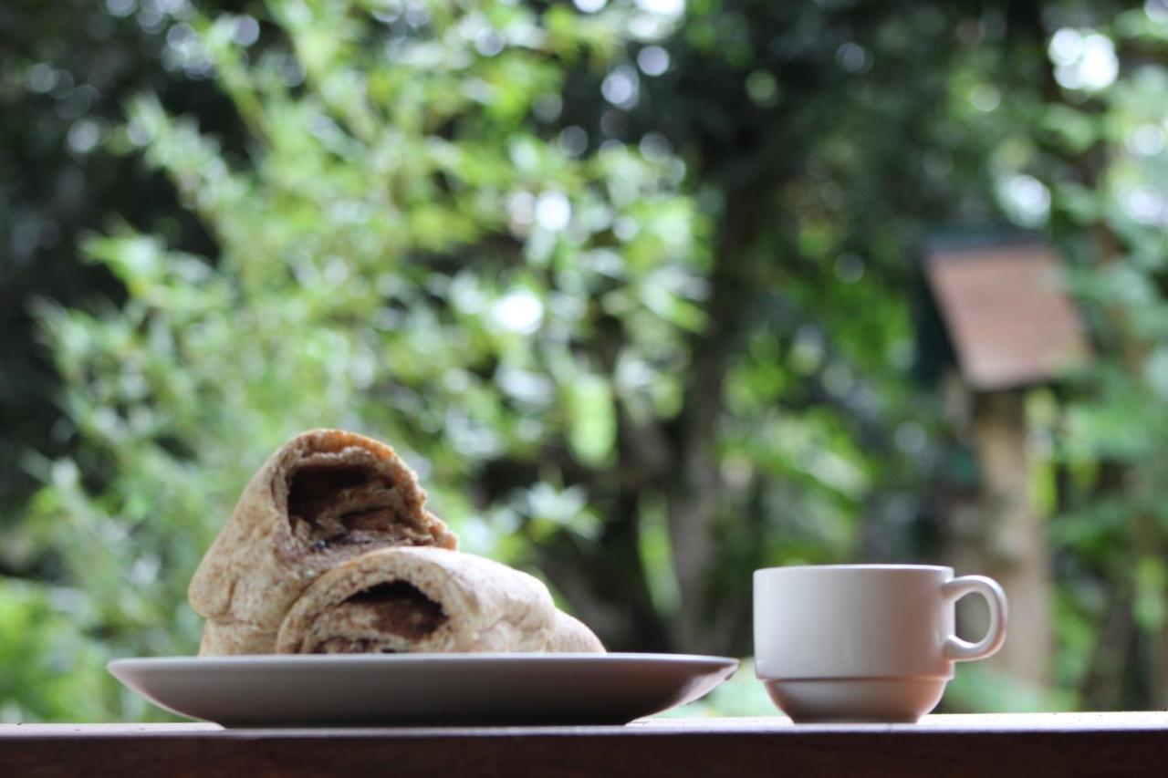 Eya Ecolodge San Isidro De El General エクステリア 写真