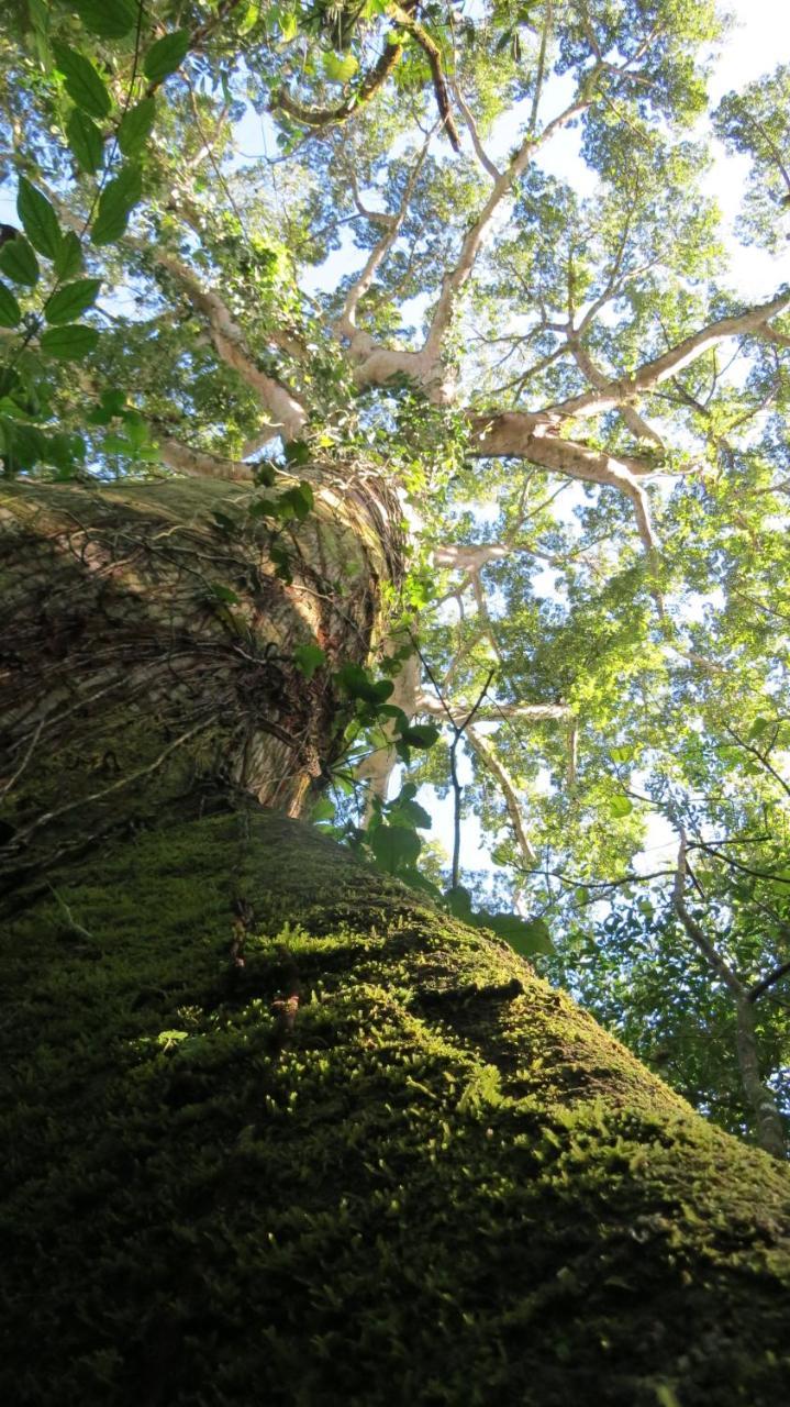 Eya Ecolodge San Isidro De El General エクステリア 写真