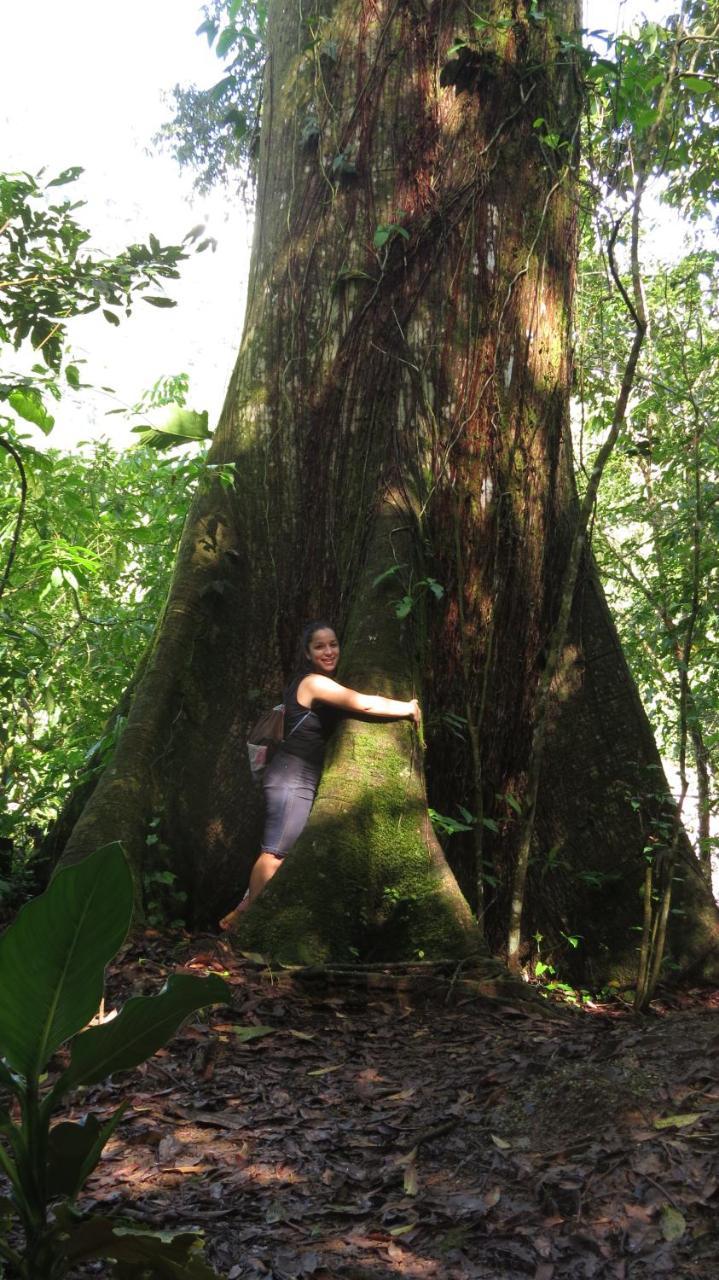 Eya Ecolodge San Isidro De El General エクステリア 写真