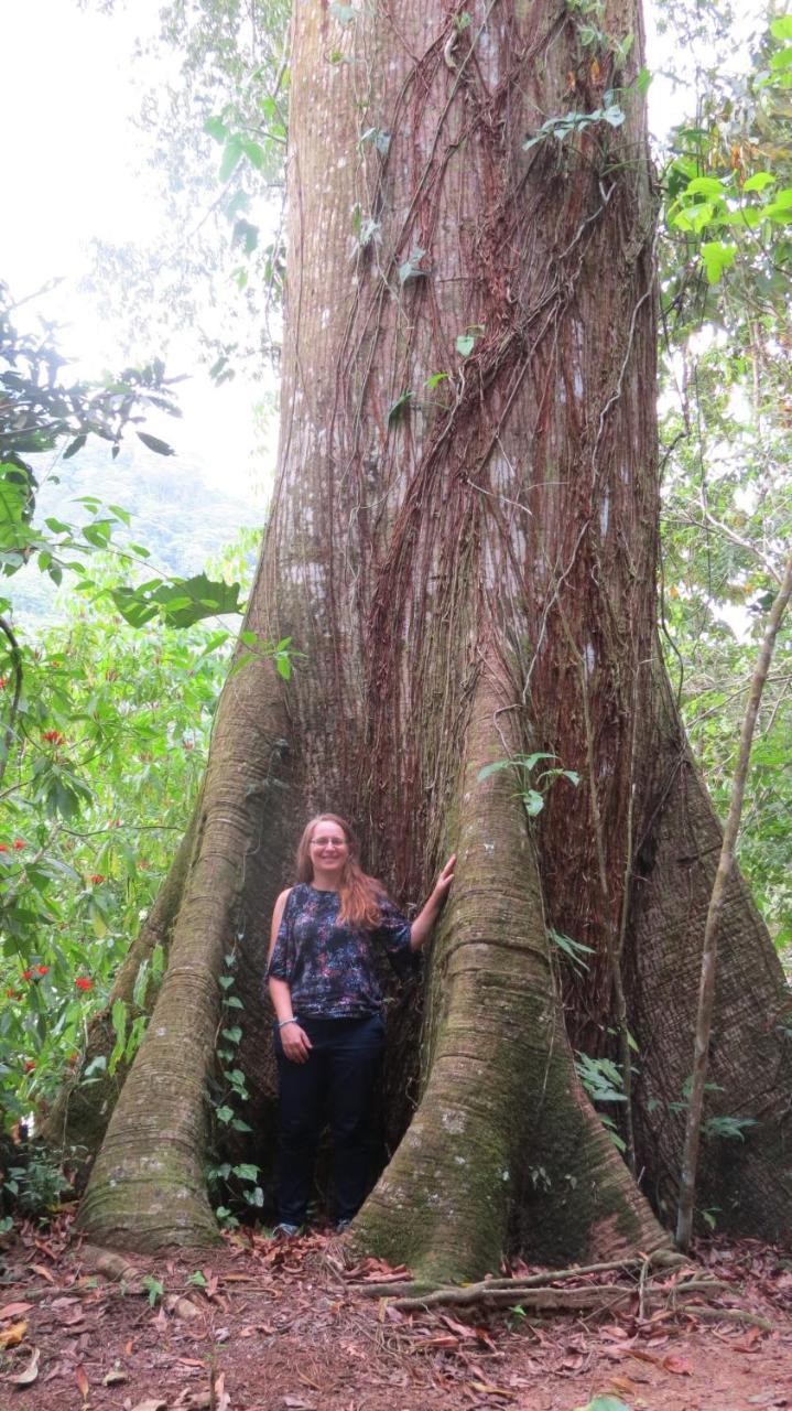 Eya Ecolodge San Isidro De El General エクステリア 写真