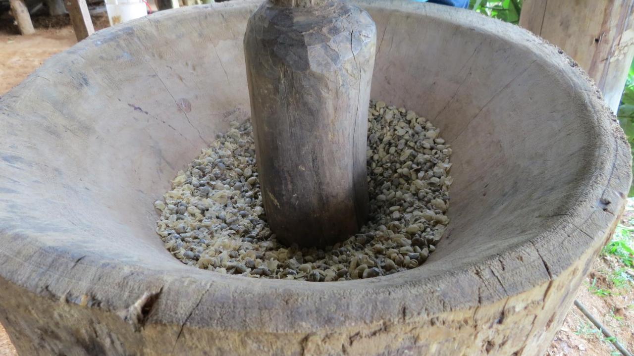 Eya Ecolodge San Isidro De El General エクステリア 写真