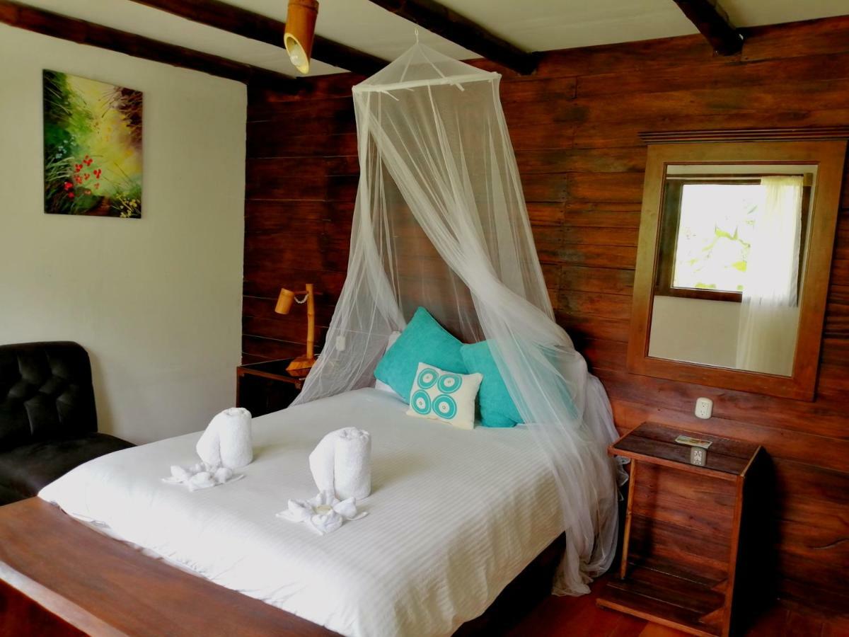 Eya Ecolodge San Isidro De El General 部屋 写真