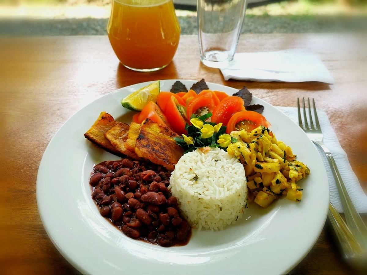Eya Ecolodge San Isidro De El General エクステリア 写真